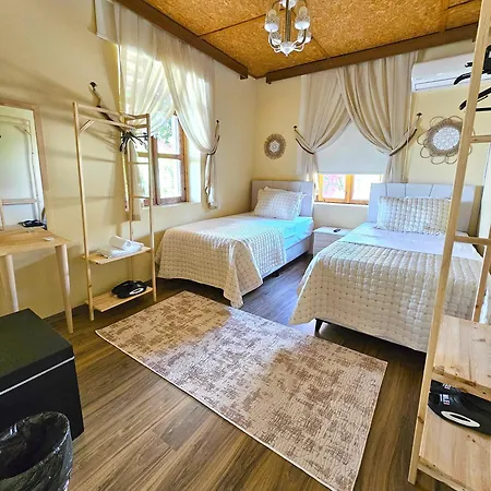 Apartment Burcu Guest