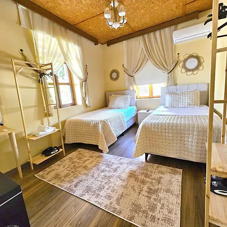 Burcu Guest * Caglayan