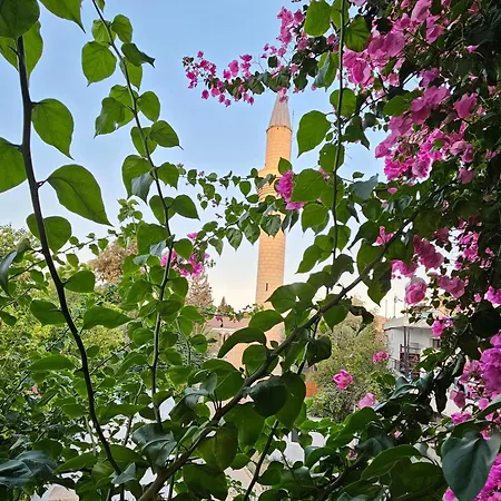 Burcu Guest * Caglayan