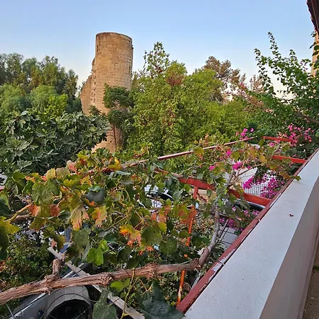 Apartament Burcu Guest *